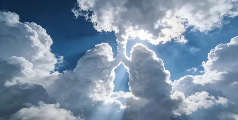 广州肺癌11基因检测组织版图片1